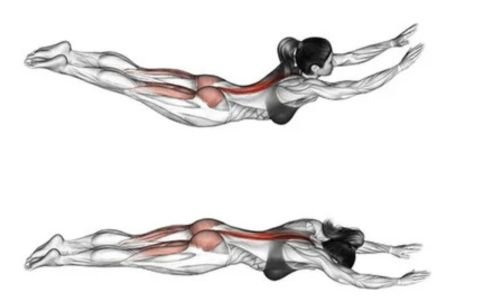 exercice-domicile-debutant-gainage-superman