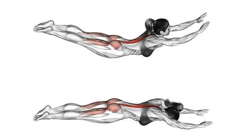 gainage-superman-execution